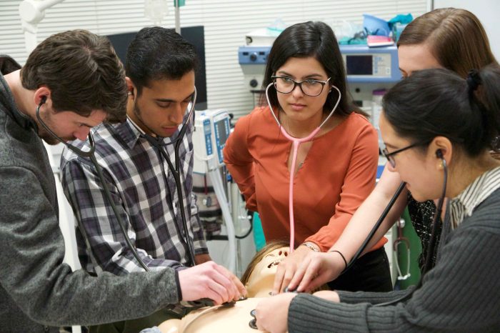 Research Methods in Public Health - Bachelor